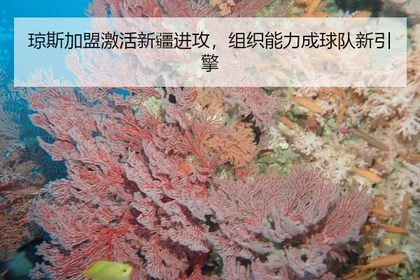 qiong-si-jia-meng-ji-huo-xin-jiang-jin-gong-zu-zhi-neng-li-cheng-qiu-dui-xin-yin-qing-3-292.jpg