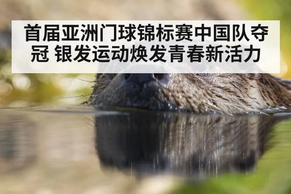 首届亚洲门球锦标赛中国队夺冠 银发运动焕发青春新活力
